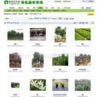 专业企业网页设计与维护服务 构建数字化形象，驱动业务增长